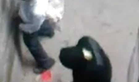 मैं इस तरह से एक काम ब्लू सेक्सी पिक्चर मूवी है