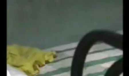 एमेच्योर सेक्स करने की मूवी सुनहरे बालों वाली कट्टर आउटडोर रूसी किशोर