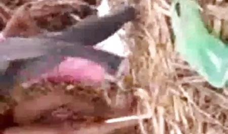 उसके दोस्त सेक्सी फिल्म सेक्सी मूवी बालों समलैंगिक बिल्ली ठीक से बाहर आया