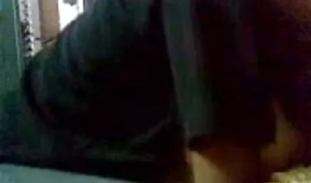 बिल्ली और गधे सह में संवेदी सेक्सी फिल्म बॉलीवुड लड़की