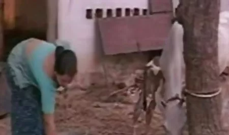 स्ट्रीट लड़कियों एक साधारण मिठाई के सेक्सी फिल्म कुंवारी दुल्हन डिक चूसना