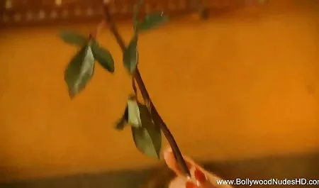 गधा युवा रूसी चिकन न्यू हिंदी सेक्सी मूवी और उसकी लानत में मिला