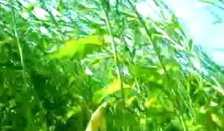 एशियाई बुत बालों वाली कट्टर जापानी अंग्रेजी सेक्सी फुल वर्दी