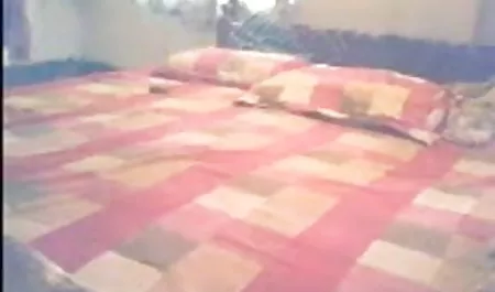 एक मूवी सेक्सी ब्लू पिक्चर सड़ी हुई बहन उसके भाई एक बिल्ली दे दी है