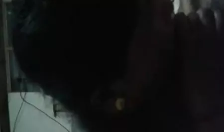 सुंदर स्तन के साथ रूसी लड़की गड़बड़ हो सेक्सी फिल्म फिल्म फिल्म जाता है ।